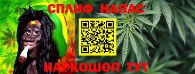 гидра Кинель