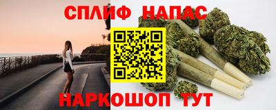 jwh Кингисепп