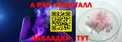 jwh Кингисепп