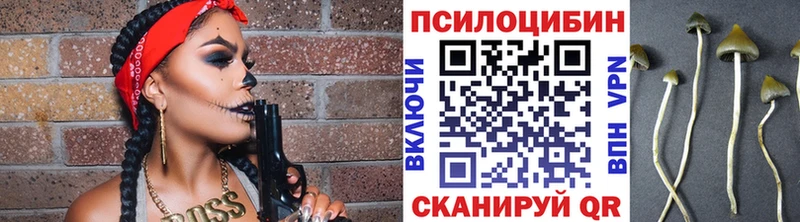 Галлюциногенные грибы мухоморы кракен сайт Краснокаменск
