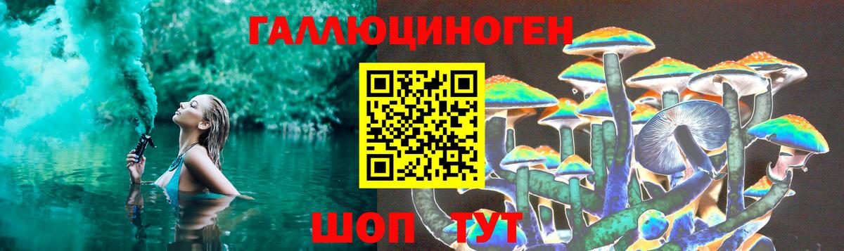 Галлюциногенные грибы Psilocybine cubensis Краснокаменск